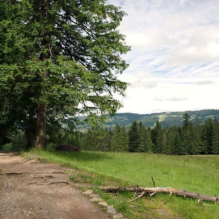 Domek Sekret Zakopane Buitenkant foto