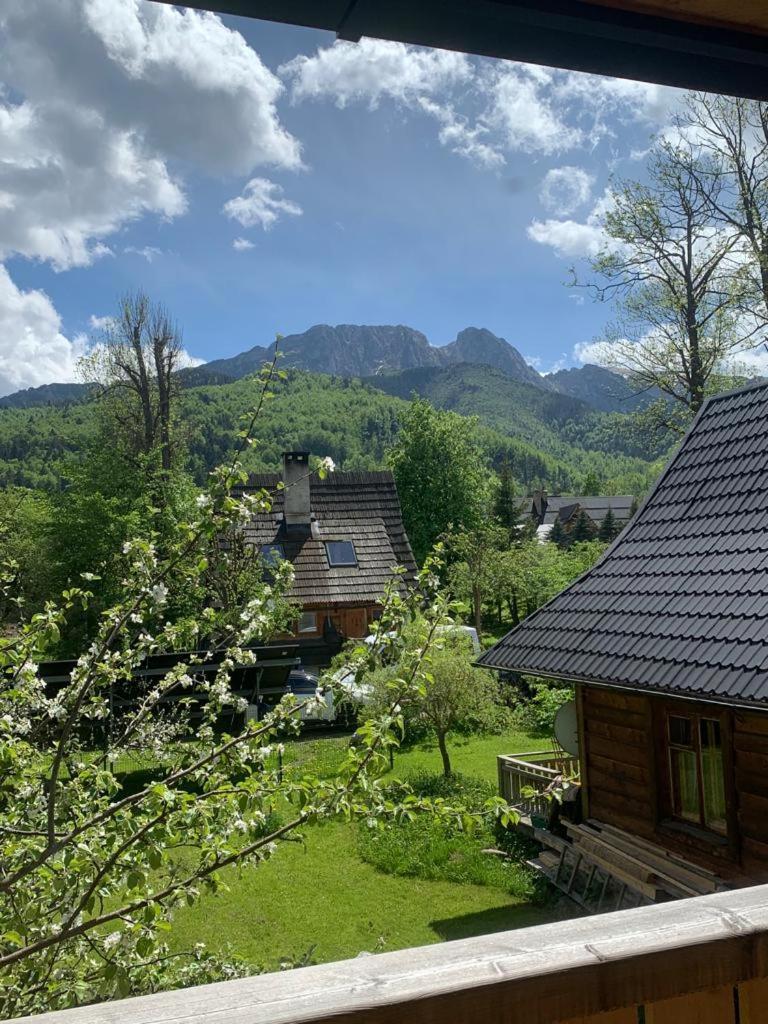 Domek Sekret Zakopane Buitenkant foto