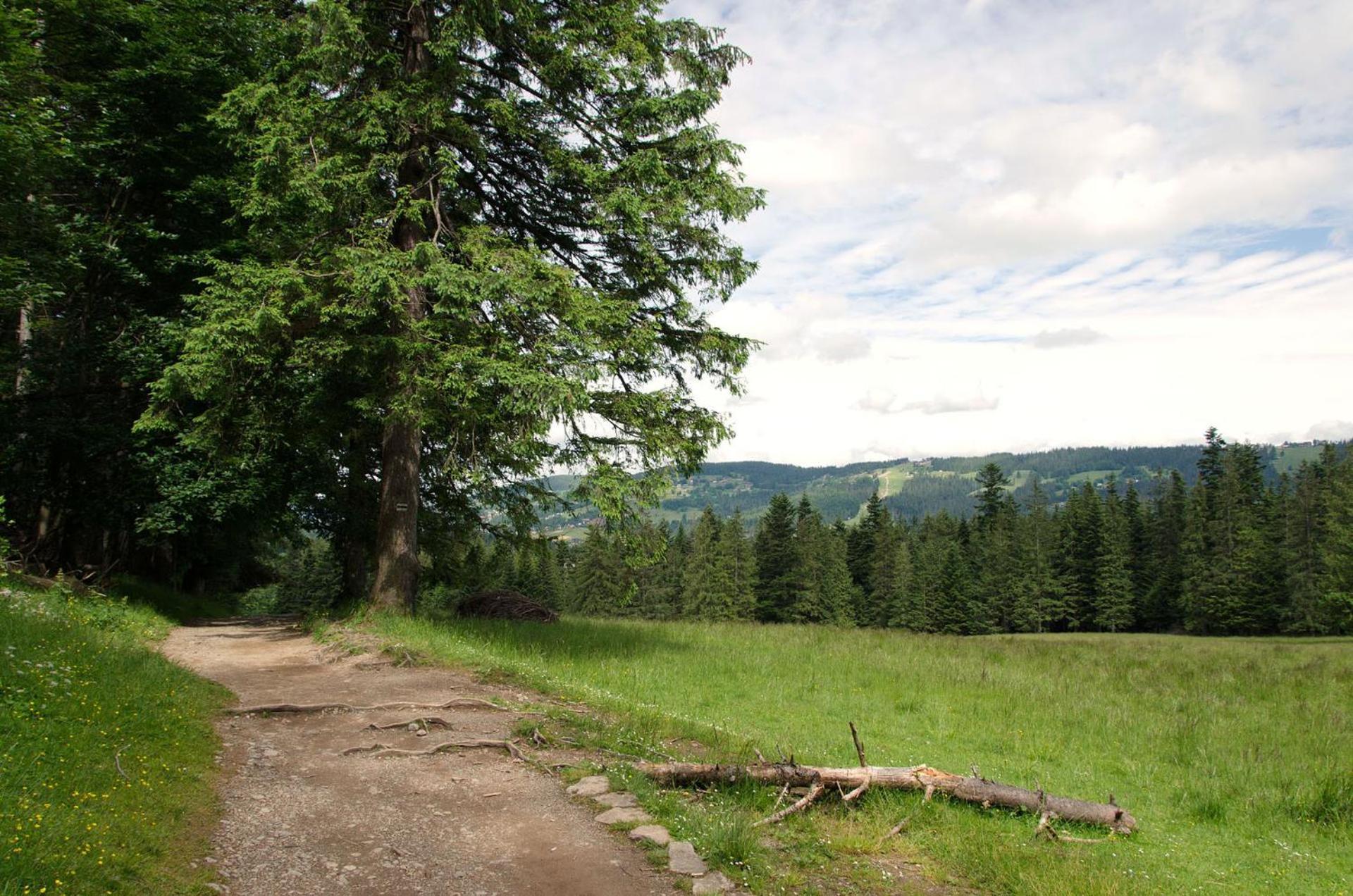 Domek Sekret Zakopane Buitenkant foto